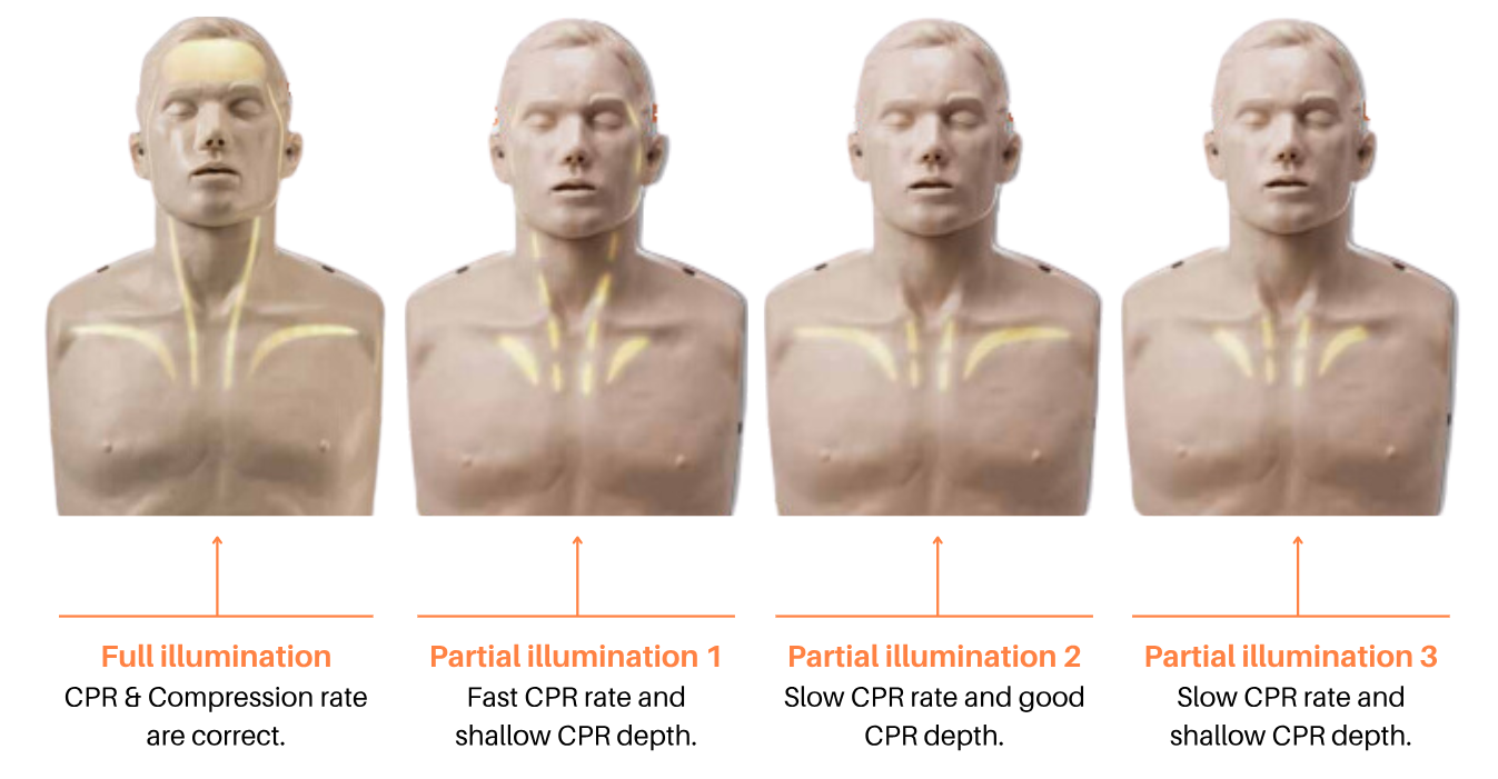 Brayden PRO CPR Manikin Adult with Illumination Lights (RED) - Image 11