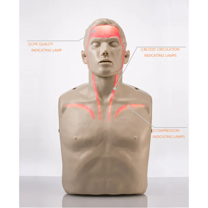 Brayden Advanced CPR Manikin Adult with Illumination Lights (RED) - Image 3
