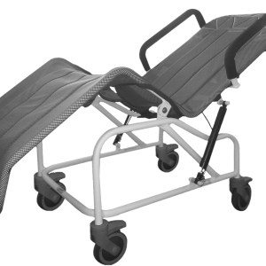 Washington Tilt in Space Shower Cradle