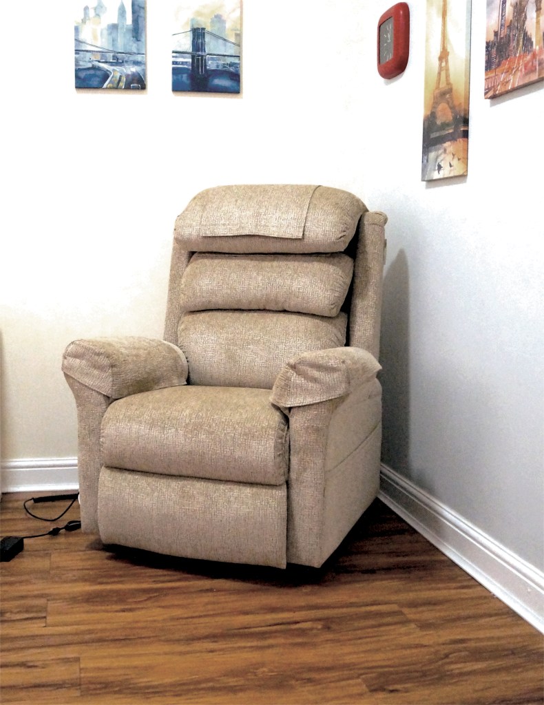 Ecclesfield Series Wall Hugging Rise & Recliner in Chenille Material (OAT)