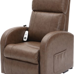 Daresbury Rise and Recline Chair Single Motor in NUTMEG