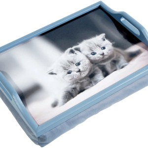 Wooden Lap Tray with Cushion