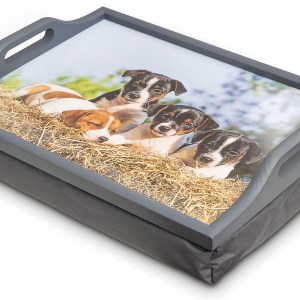 Wooden Lap Tray with Cushion