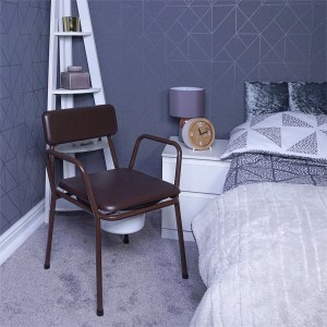 Bedside Commode