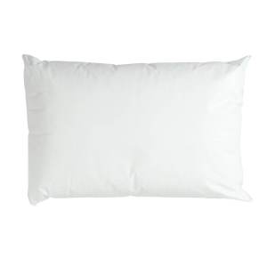 Dri-Shield Wipe Clean Polypropylene Pillow