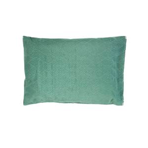 Seclusion Sealed Pillow
